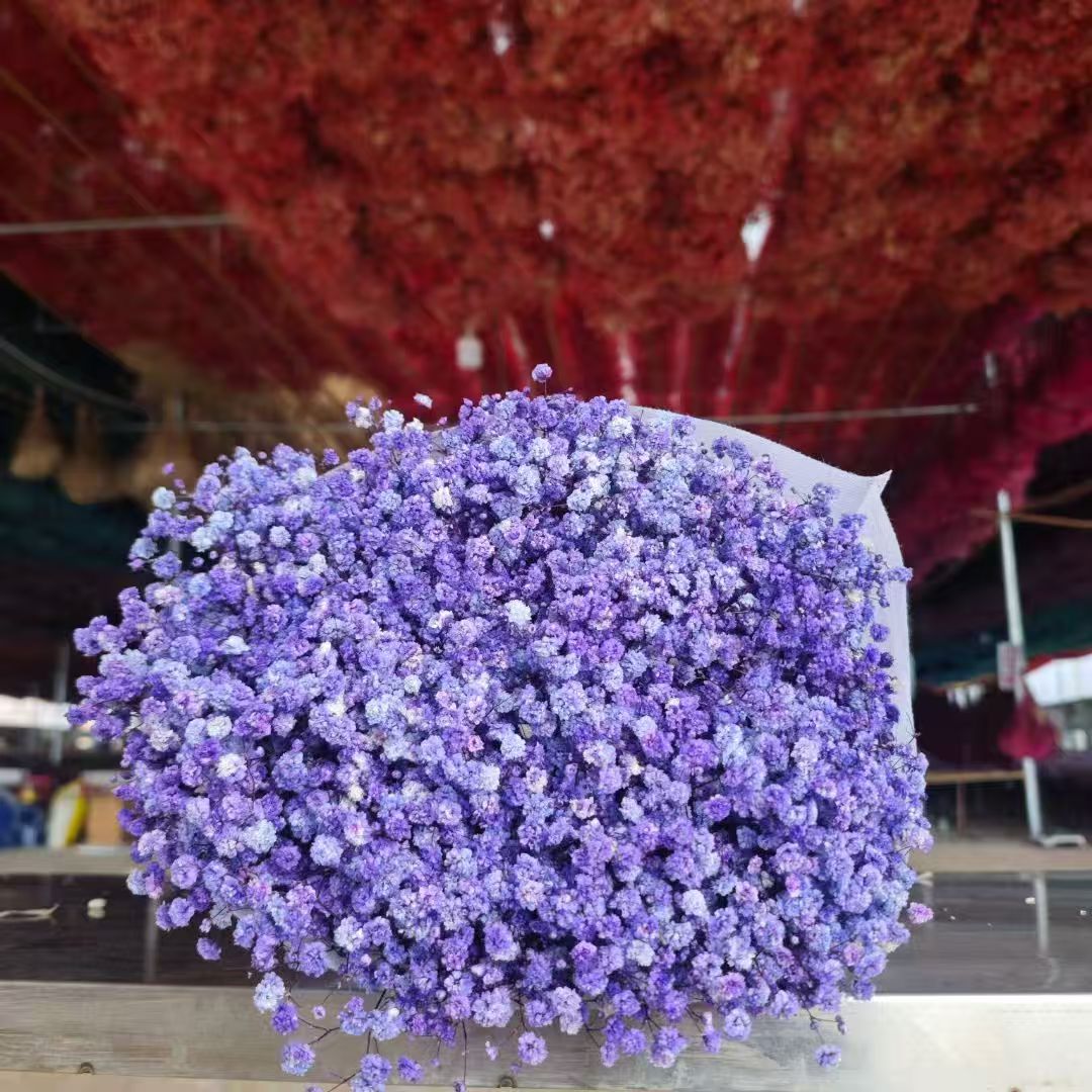 120-gram dried garden flowers, asters, dried fruit decorations, dried pinecones, dried fruit ornaments, multi-purpose decorative items Application Scenario
