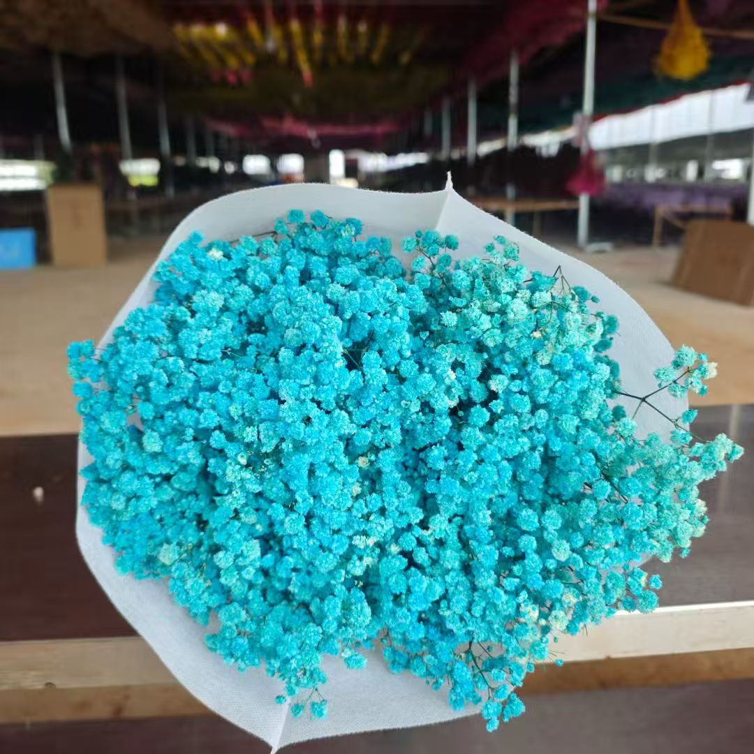 120-gram dried garden flowers, asters, dried fruit decorations, dried pinecones, dried fruit ornaments, multi-purpose decorative items Item Picture