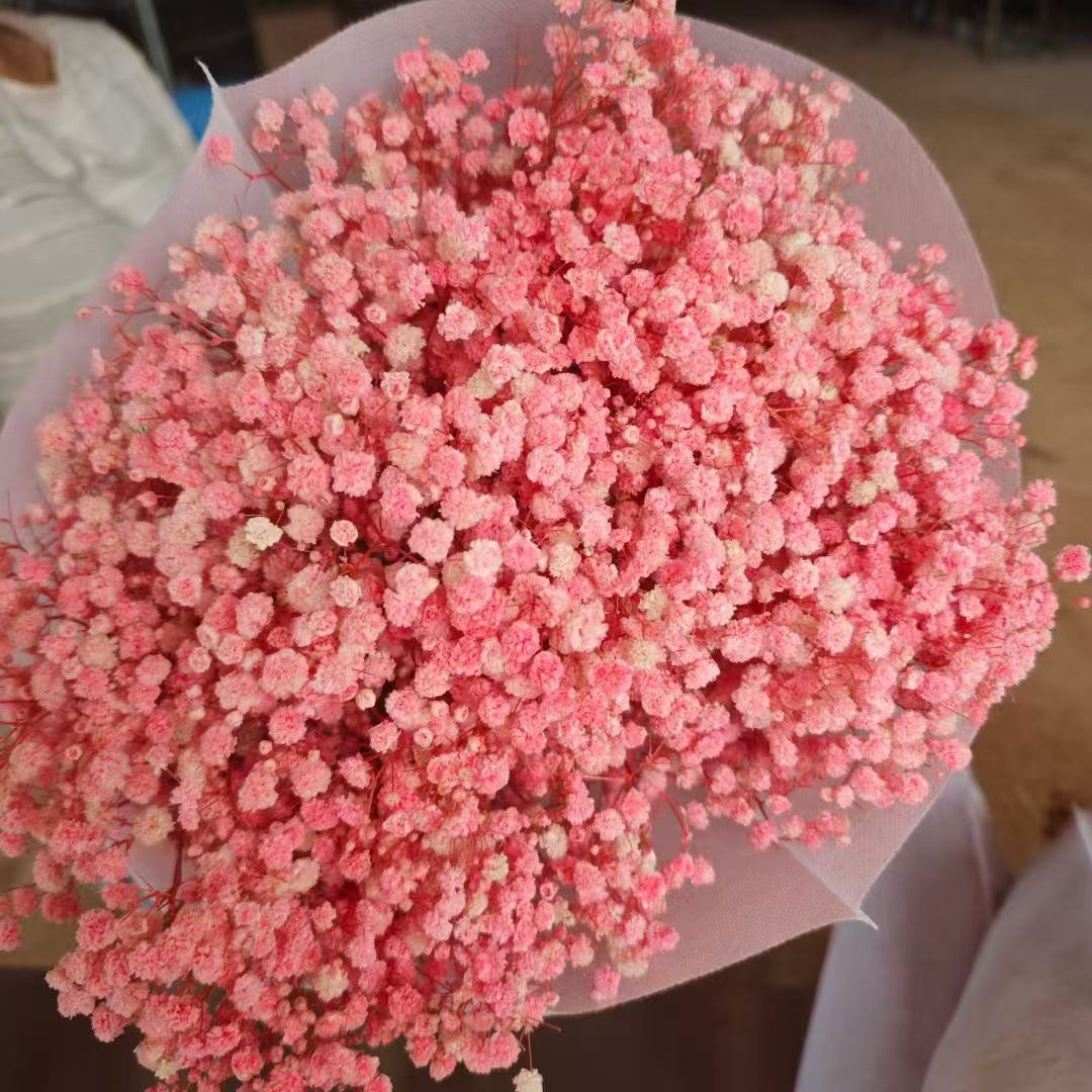 120-gram dried garden flowers, asters, dried fruit decorations, dried pinecones, dried fruit ornaments, multi-purpose decorative items detail image 3
