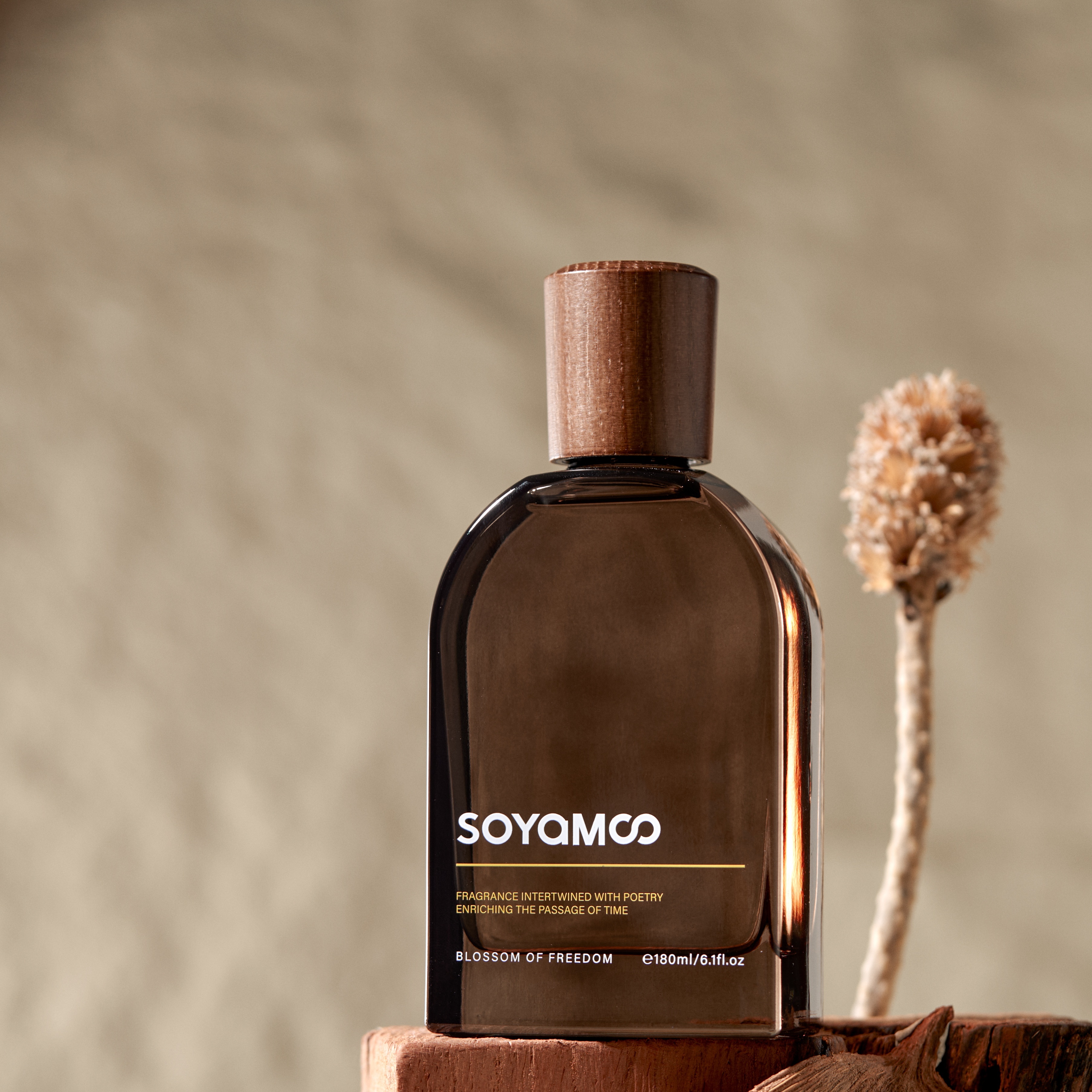 SOYAMOO大地 莱茜无火香薰-天境冷杉产品图