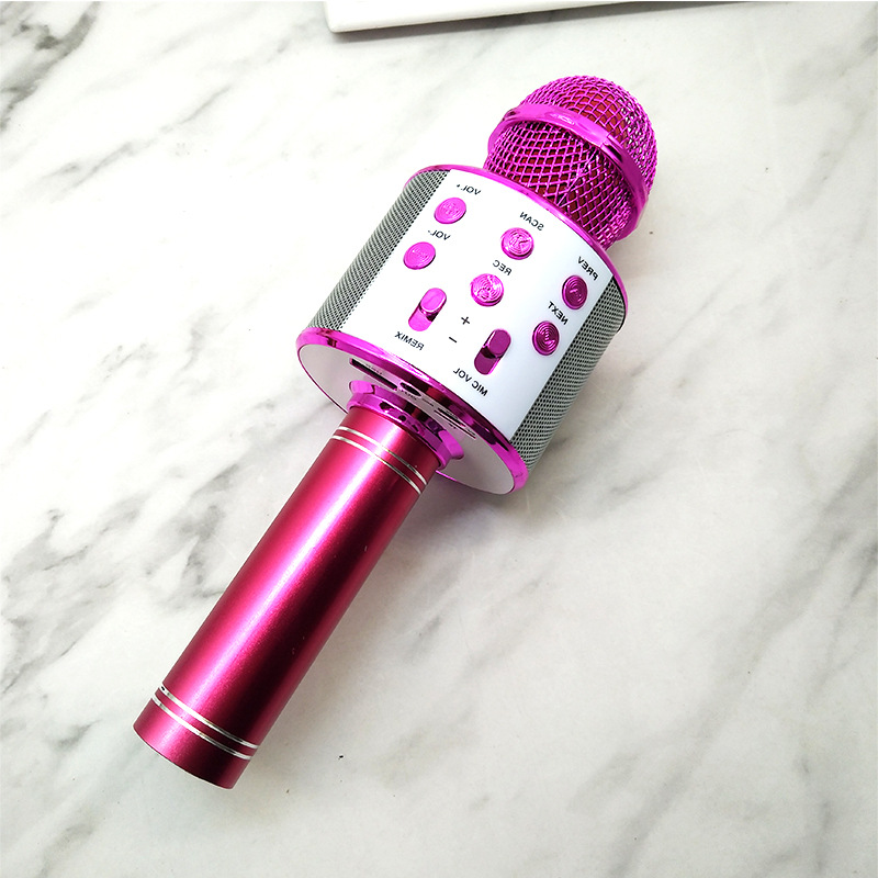 WS-858 wireless microphone, Bluetooth speaker, USB charging microphone, portable wireless microphone details Picture