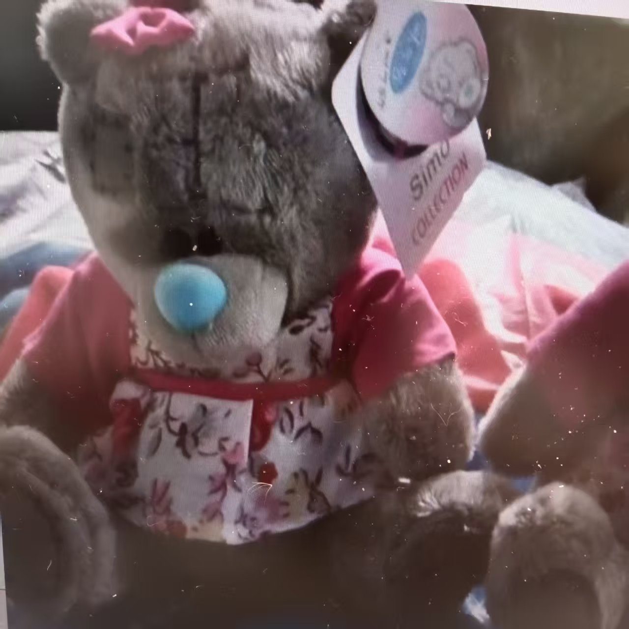 Beggar doll bear, little bear, Teddy bear, cute doll, plush toy doll, New Year patch bear, randomly distributed Application Scenario