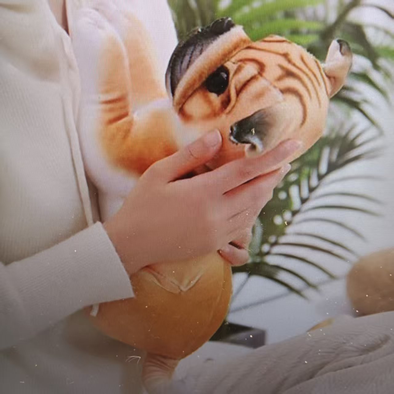 Cute simulation puppy plush toys, dog dolls, children's sleeping pillows, cloth dolls, random gifts for girls Application Scenario