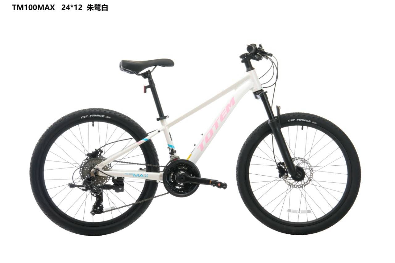 TOTEM TM100MAX-24山地车自行车，24s变速，铝合金内走线车架 油碟刹车详情2
