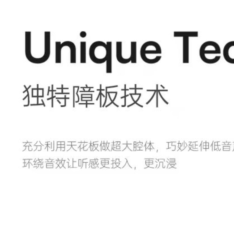 Unique Baffle Technology Ceiling High-Fidelity Bass Surround Sound System Application Scenario