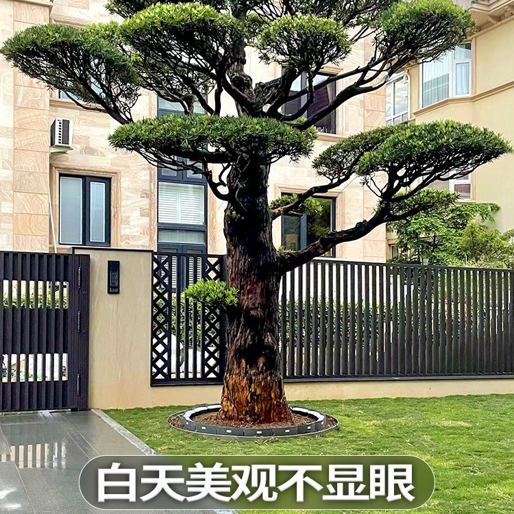 Solar-powered garden lights, tree-hugging lights, tree-shooting lights, landscape tree-illuminating spotlights, outdoor waterproof garden and courtyard lights, interlocking trees details Picture