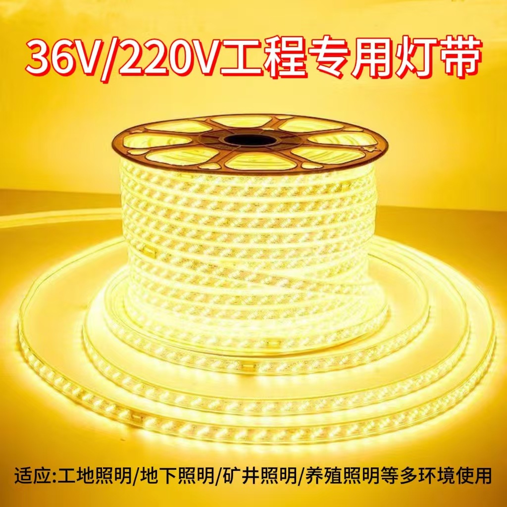 Wholesale of 36V low-voltage LED light strips, rubber-coated high-brightness lenses, waterproof copper plates, outdoor tunnels and basements details Picture