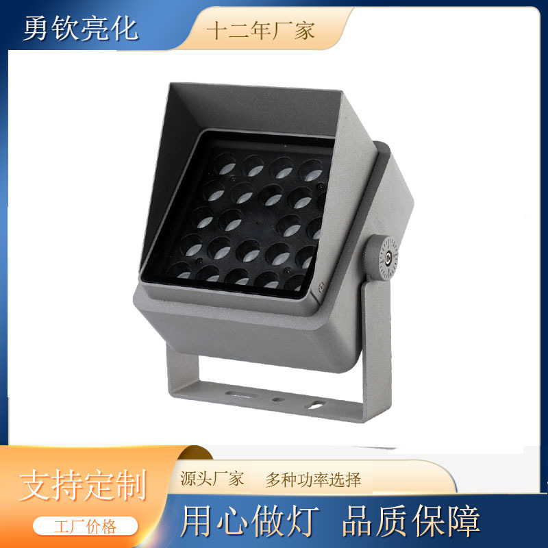 Outdoor spotlights 48wrgb seven-color floodlights square 36w waterproof villa night view garden exterior wall tree lighting lights Application Scenario