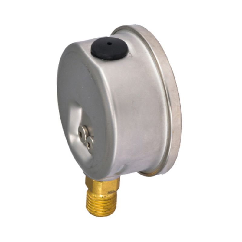 Anti-seismic pressure gauge details Picture