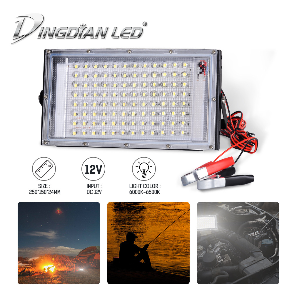 DC12V low-voltage crocodile clip LED floodlight, 100W high-brightness waterproof outdoor garden floodlight full figure