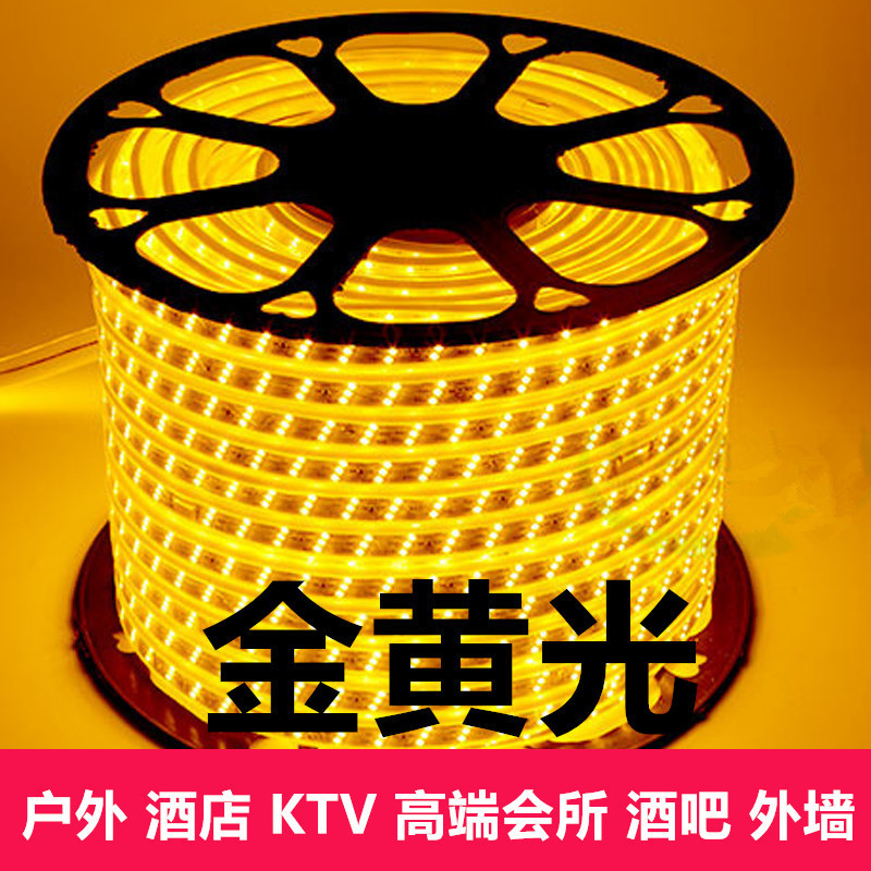 100-meter golden led light strip for engineering lighting, landscape lighting, outdoor waterproof 220V outdoor decoration wholesale full figure