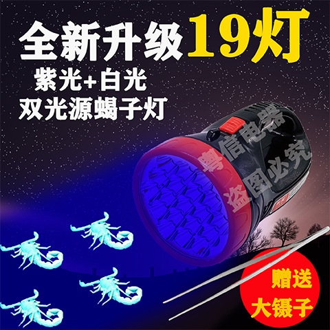 Lithium battery scorpion lamp, long-lasting purple light searchlight, rechargeable portable LED lighting, outdoor scorpion catching and grasshopper head lamp Application Scenario