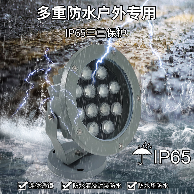 led projector light, tree light, outdoor waterproof ground light, floodlight, floor light, blade type, seven-color RGB24v220 details Picture
