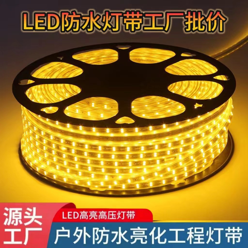 220V outdoor lighting project led light strips, ambient lights, ultra-bright flexible silicone waterproof LED light strips full figure