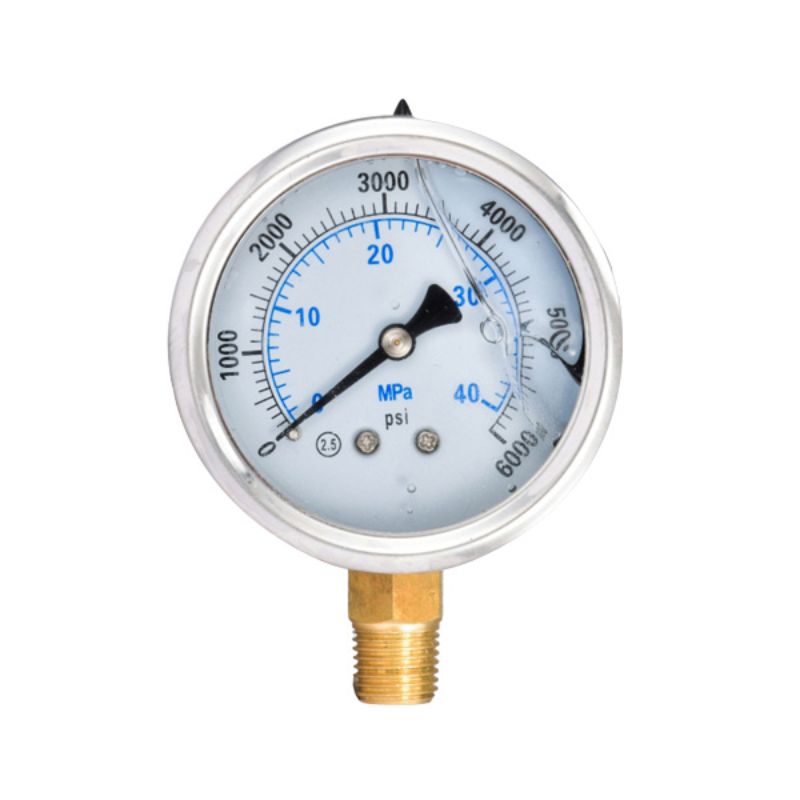 Anti-seismic pressure gauge Item Picture