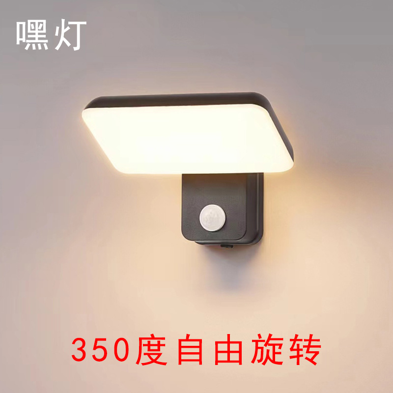 Outdoor waterproof wall lamp, rotatable adjustable light, human body sensor light, modern and simple balcony entrance door header, staircase light full figure