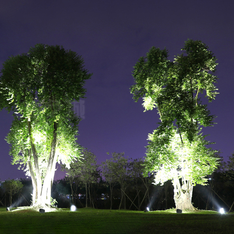 led spotlights, outdoor tree lighting, outdoor landscape module floodlights, waterproof ground-insertion sports field, starry sky floodlights Application Scenario