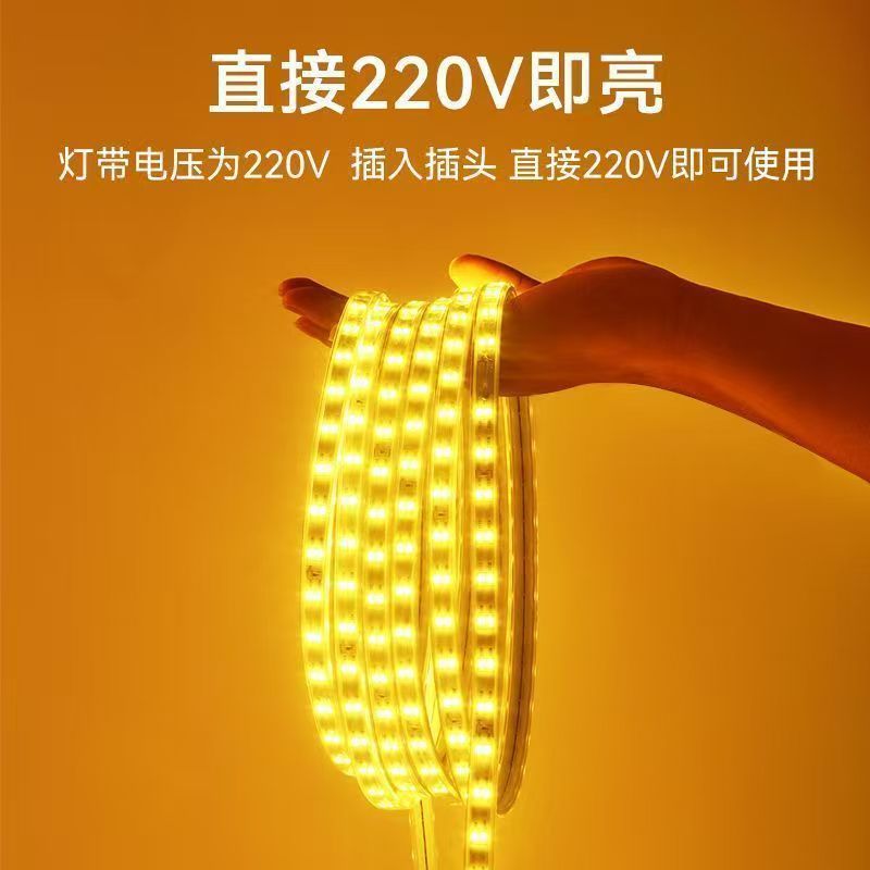 LED light strip 2835, high-voltage double-row 220V high-brightness 120 lamp, outdoor waterproof, indoor engineering lighting flexible light strip Specification drawing