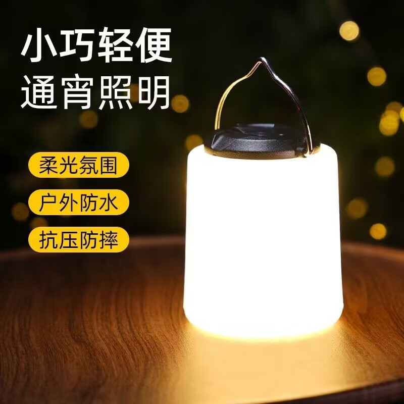 Outdoor charging camping lights, spherical warm light bulbs, atmospheric outdoor night lights, canopy lighting, camping lights, tent lights Application Scenario