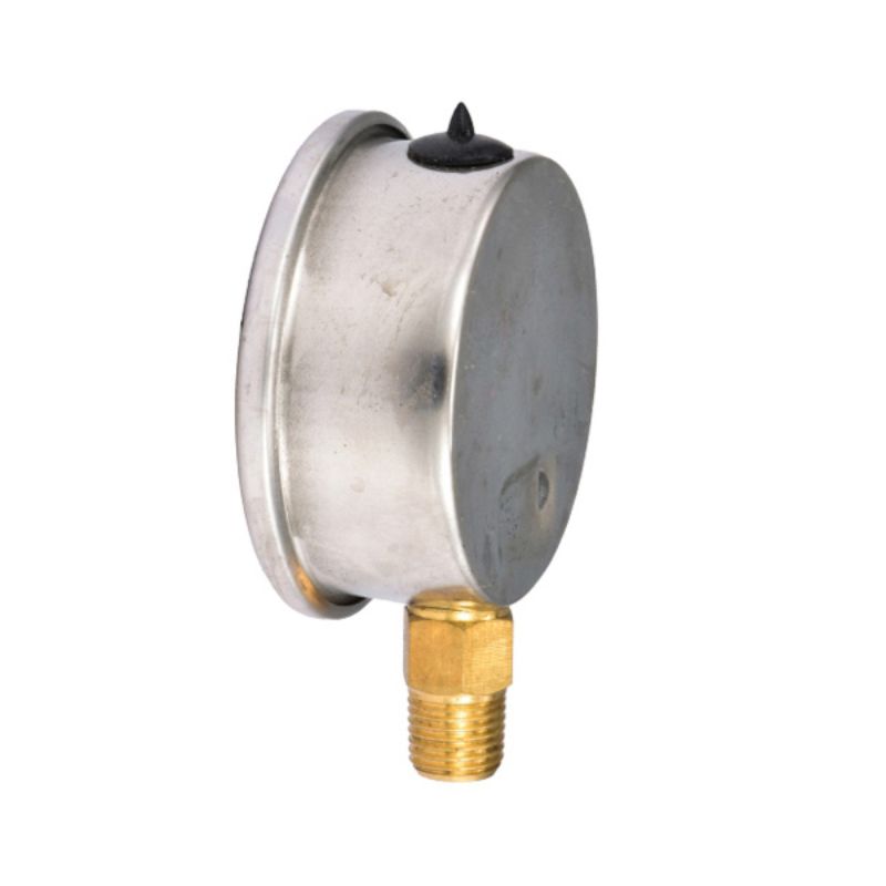 Anti-seismic pressure gauge Application Scenario
