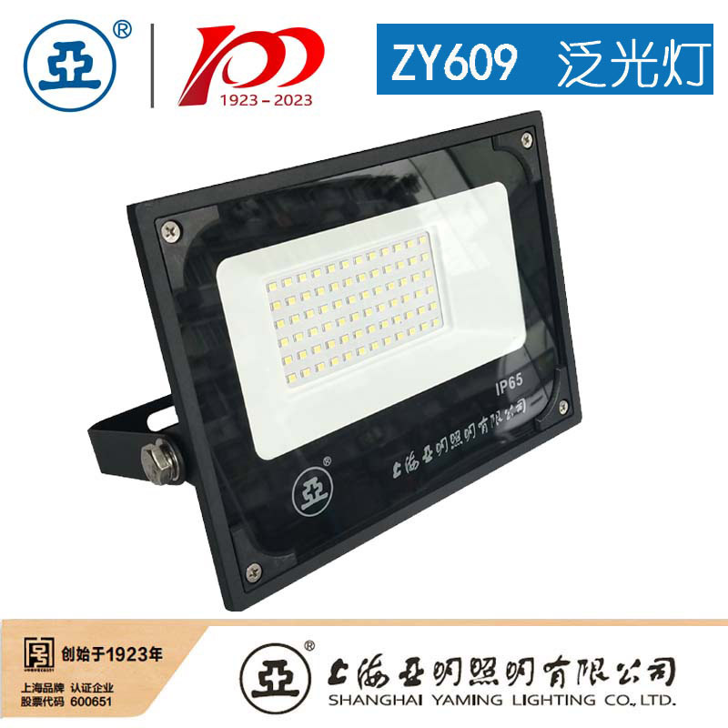 Shanghai Yaming Lighting LED floodlight ZY609 100W Advertising floodlight 200W outdoor waterproof light details Picture