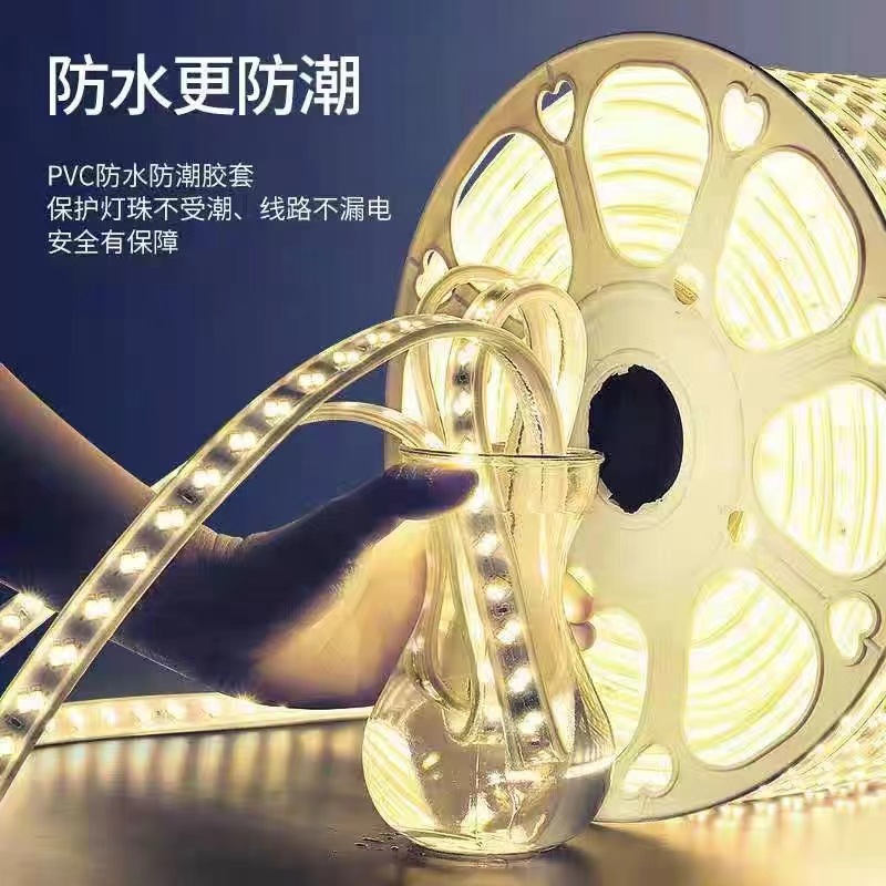 220V outdoor lighting project led light strips, ambient lights, ultra-bright flexible silicone waterproof LED light strips details Picture