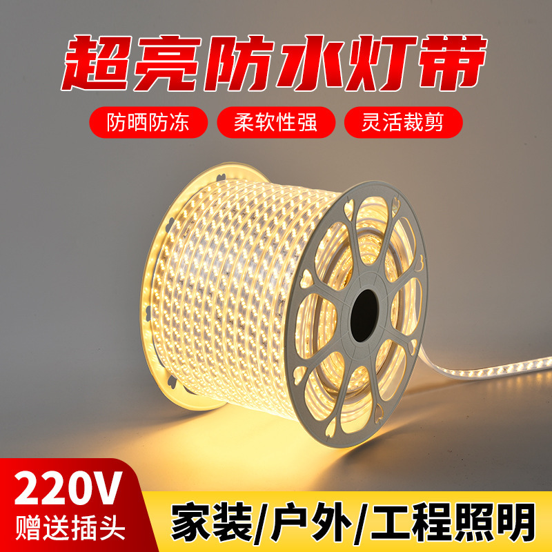 Three rows of 180-degree LED light strips for exterior walls, dedicated for home decoration projects, outdoor waterproof light strips, 220v high-voltage led light strips details Picture