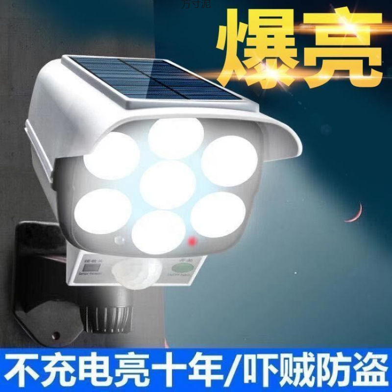 Free shipping in Xinjiang for Dayangneng courtyard lamps, human-sensing outdoor yard lamps, home simulation surveillance cameras, and charging Application Scenario