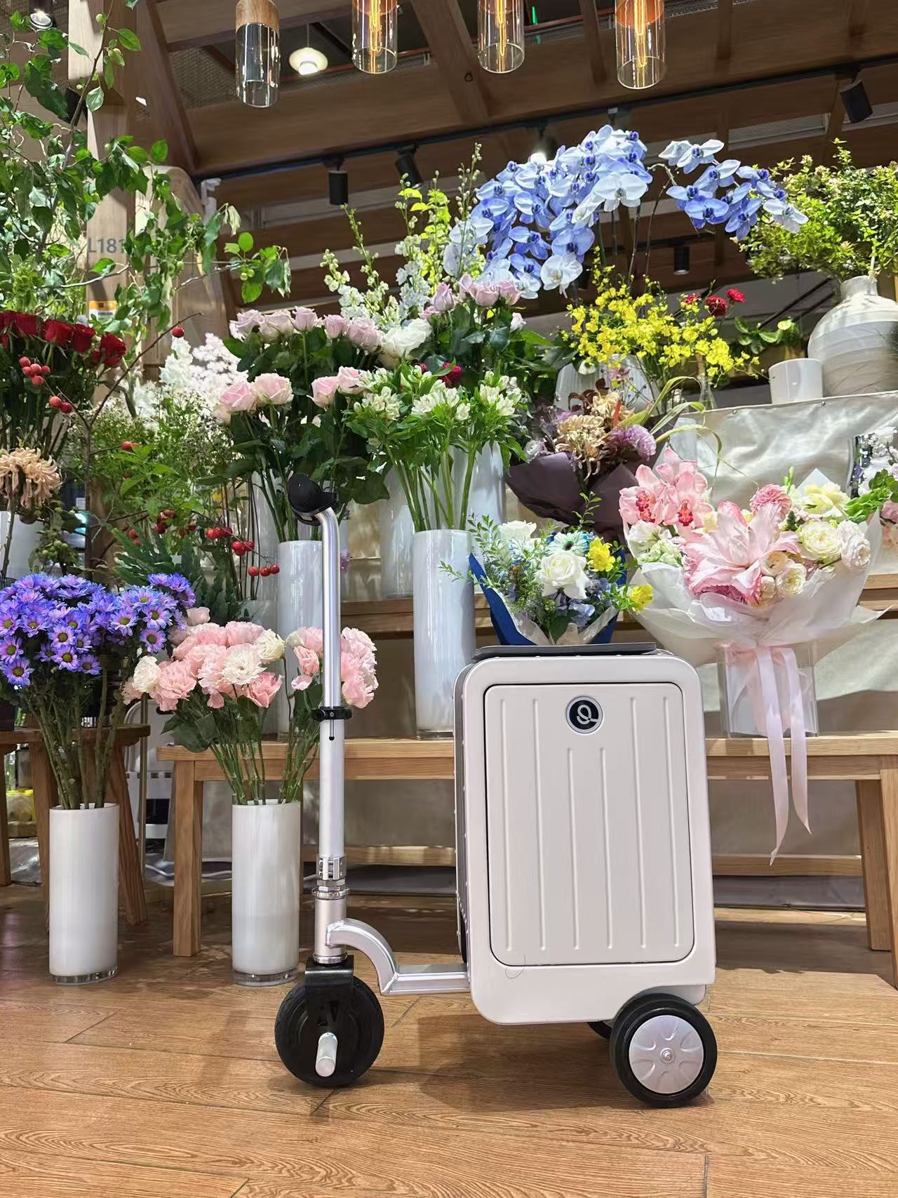 智能电动行李箱20寸，SA3 普通版，一键伸缩，一键限速，轻至8.3KG，LED氛围灯，承重110KG产品图