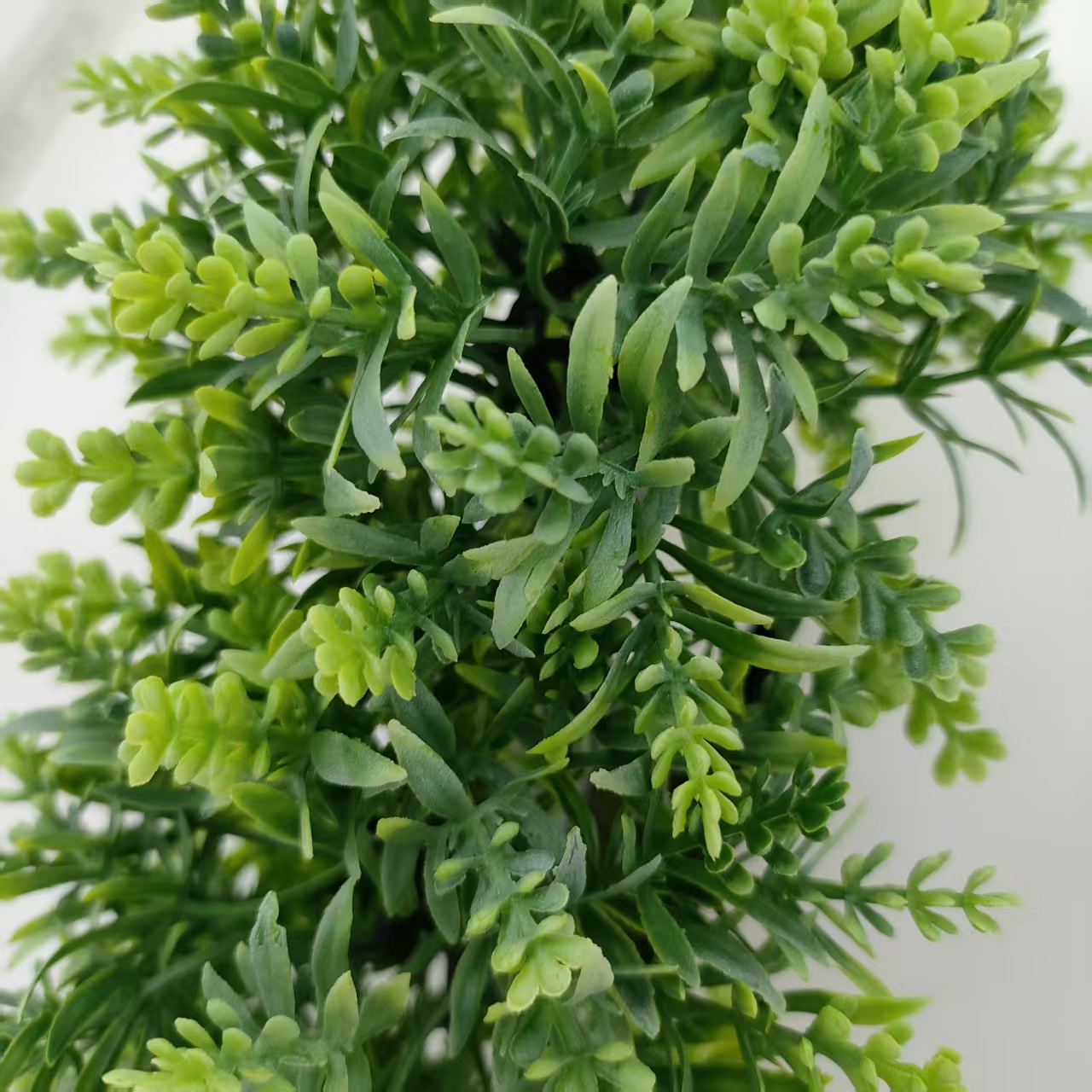 装饰器皿实物图