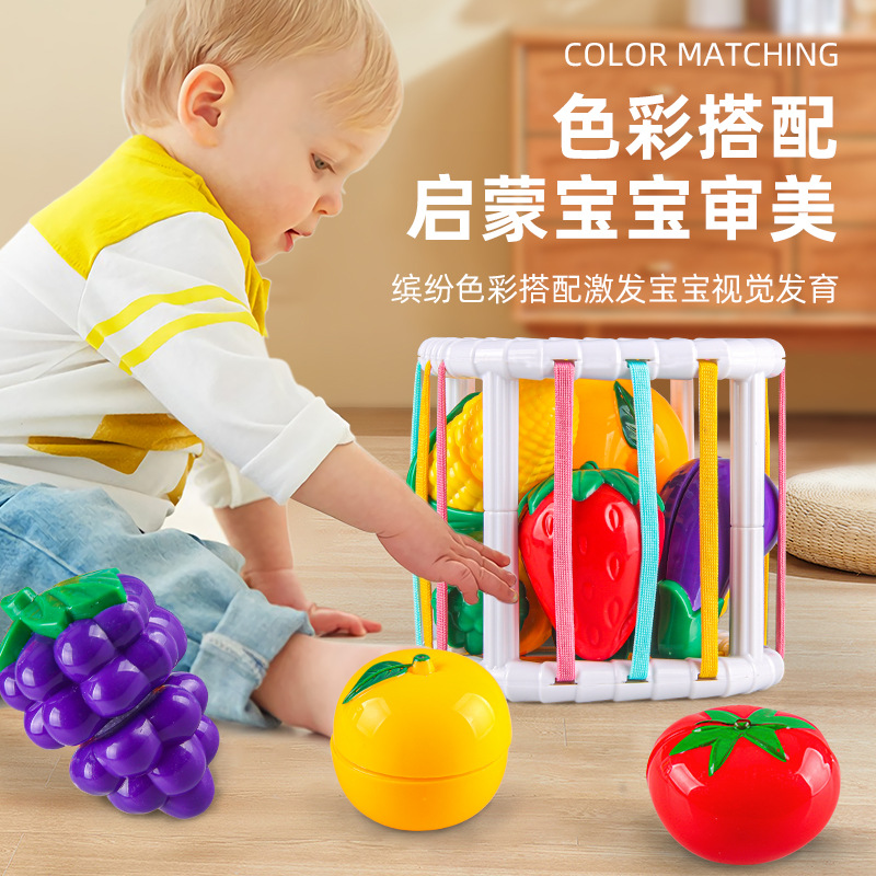 Carefully selected early education toys for infants and toddlers, such as fruit-cutting and Sesselle, for shape and color recognition, and fine motor skills in the hands full figure