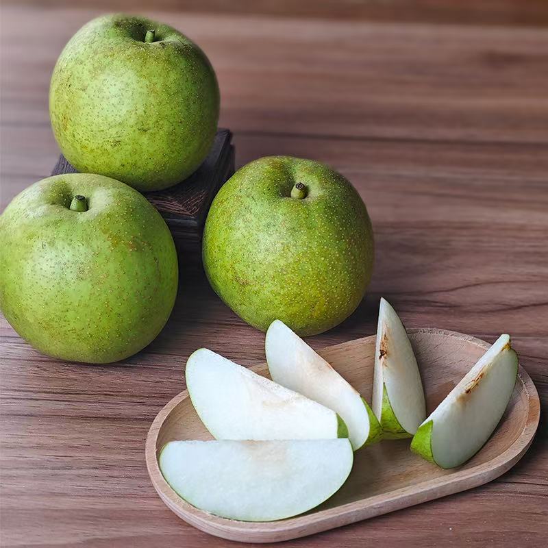 晶棠牌 蜜梨 单果 280克以上 9只装 绿色食品认证