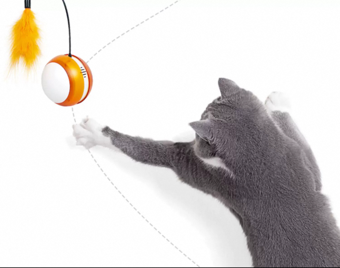 Pet supplies, pet toys, smart cats and dogs, pet toys, electric self-entertainment balls for cats pic 4