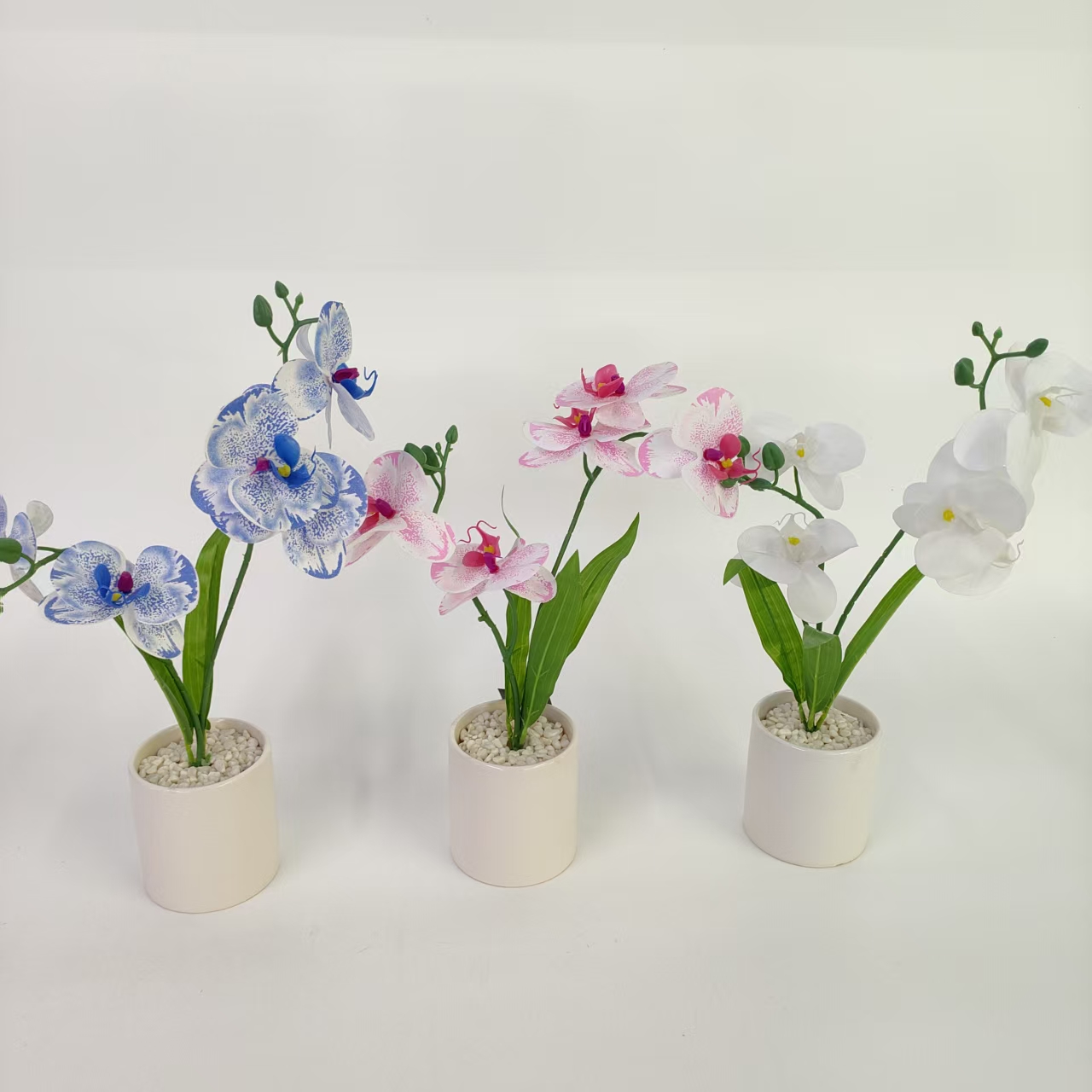 仿真花盆景蝴蝶兰陶瓷盆家居客厅橱窗摆件高级氛围感