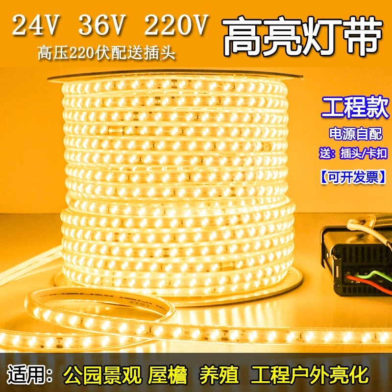 LED light strip low-voltage 24V, 36V, 110V, 127V, 220, outdoor waterproof, basement, tunnel, aquaculture light strip strip for engineering Specification drawing