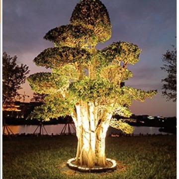 Tree-hugging lights, tree-shooting lights, outdoor waterproof landscape courtyard tree-illuminating lights, garden yard grassland lights, led outdoor spotlights full figure
