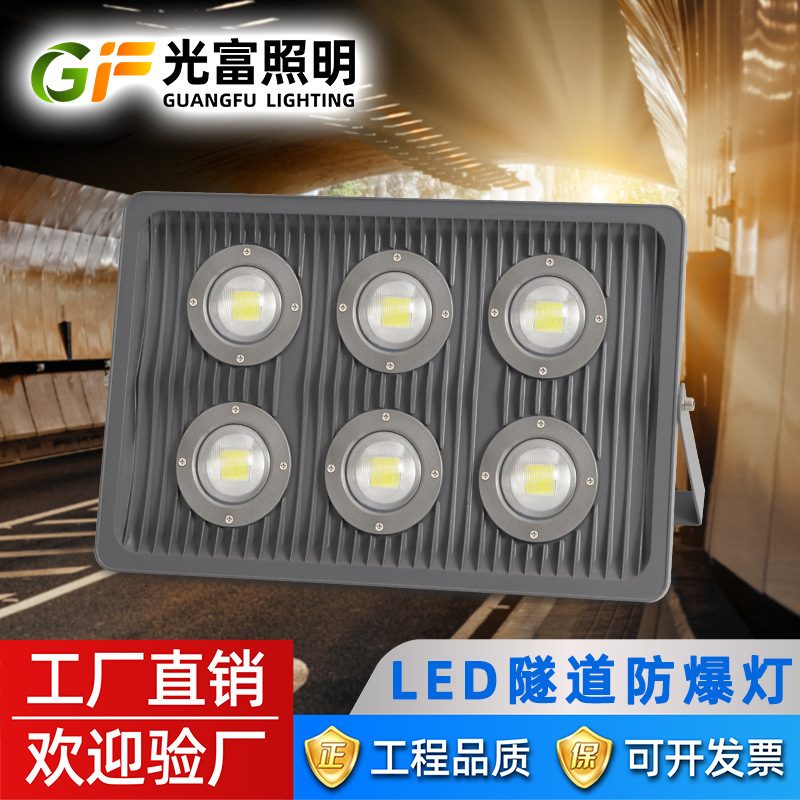 led explosion-proof sunflower tunnel light, specially designed for outdoor waterproofing in gas stations, chemical plants, mines, construction sites and engineering projects full figure
