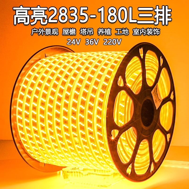 Wholesale 220Vled light strips, white light outdoor waterproofing project, 127V aquaculture tower crane construction site, 24V, 36V basement details Picture