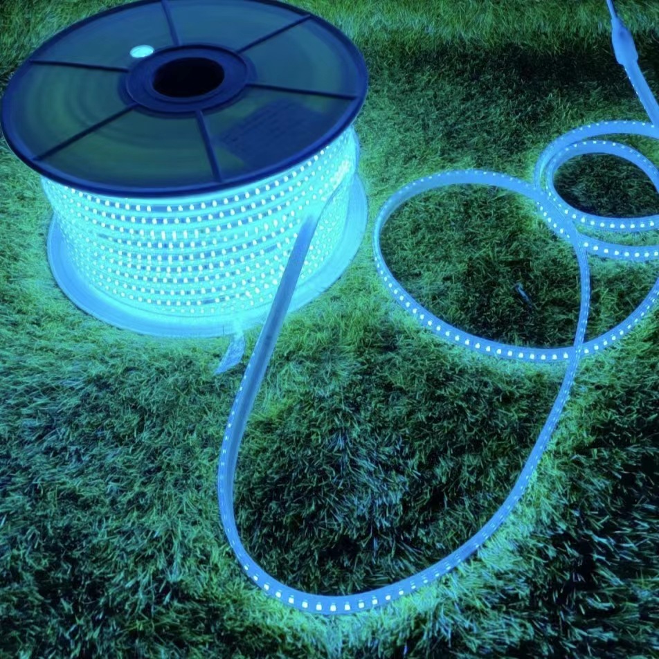 LED light strips, outdoor waterproof light strips, 144 high-brightness color Dongsheng light strips, tree and property lighting decorative light strips Application Scenario
