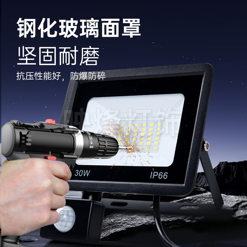 Cross-border led sensor small apple floodlight 50W100W outdoor waterproof remote control dimming sensor PIR floodlight Specification drawing