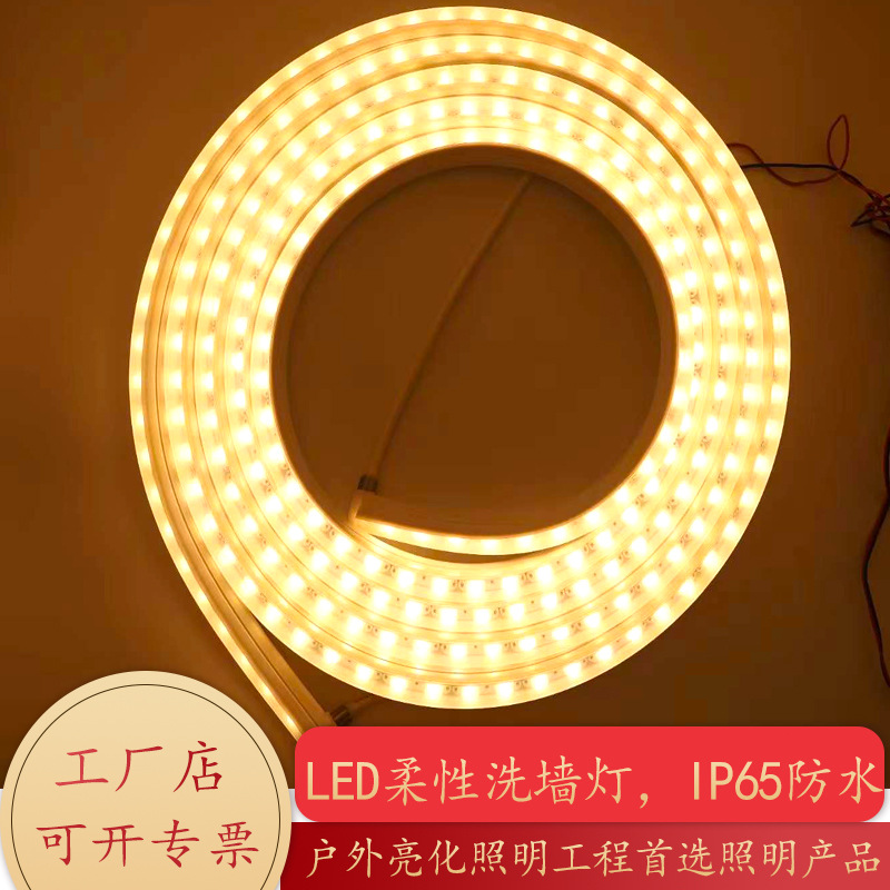 16*16 silicone wall-washing light, 48 light, 24V outdoor waterproof led flexible wall-washing light strip, exterior wall outline light details Picture