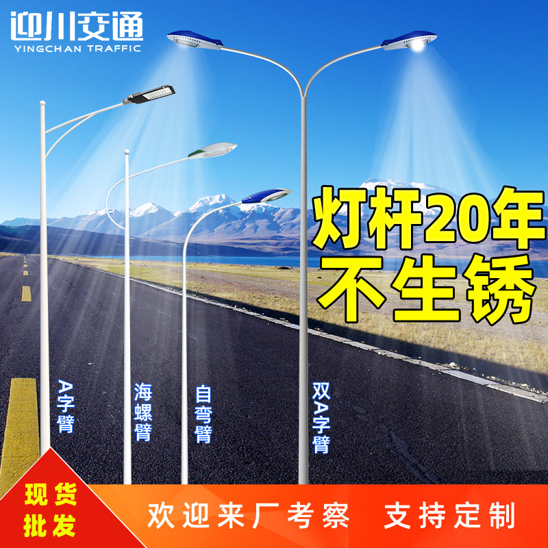 Single-arm street lamps, outdoor lighting street lamp manufacturers, rural road lighting 6-meter, 7-meter, 8-meter single-arm street lamp poles full figure