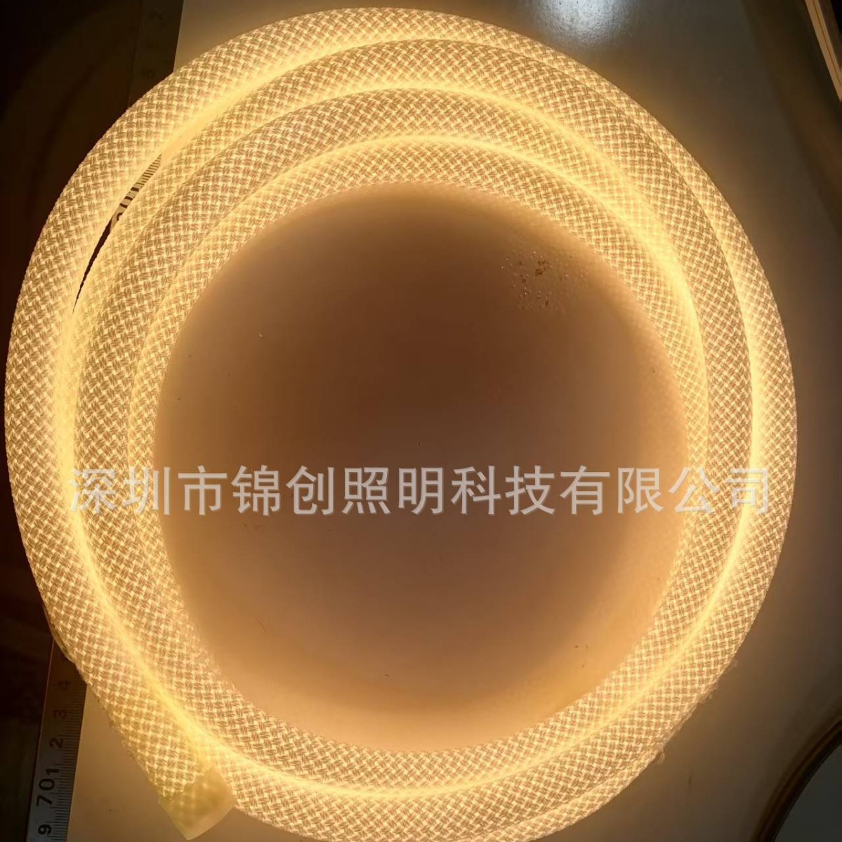 LED flexible light strips, decorative lights, 360-degree outdoor atmosphere lights, outdoor color-changing silicone neon light strips and lines details Picture