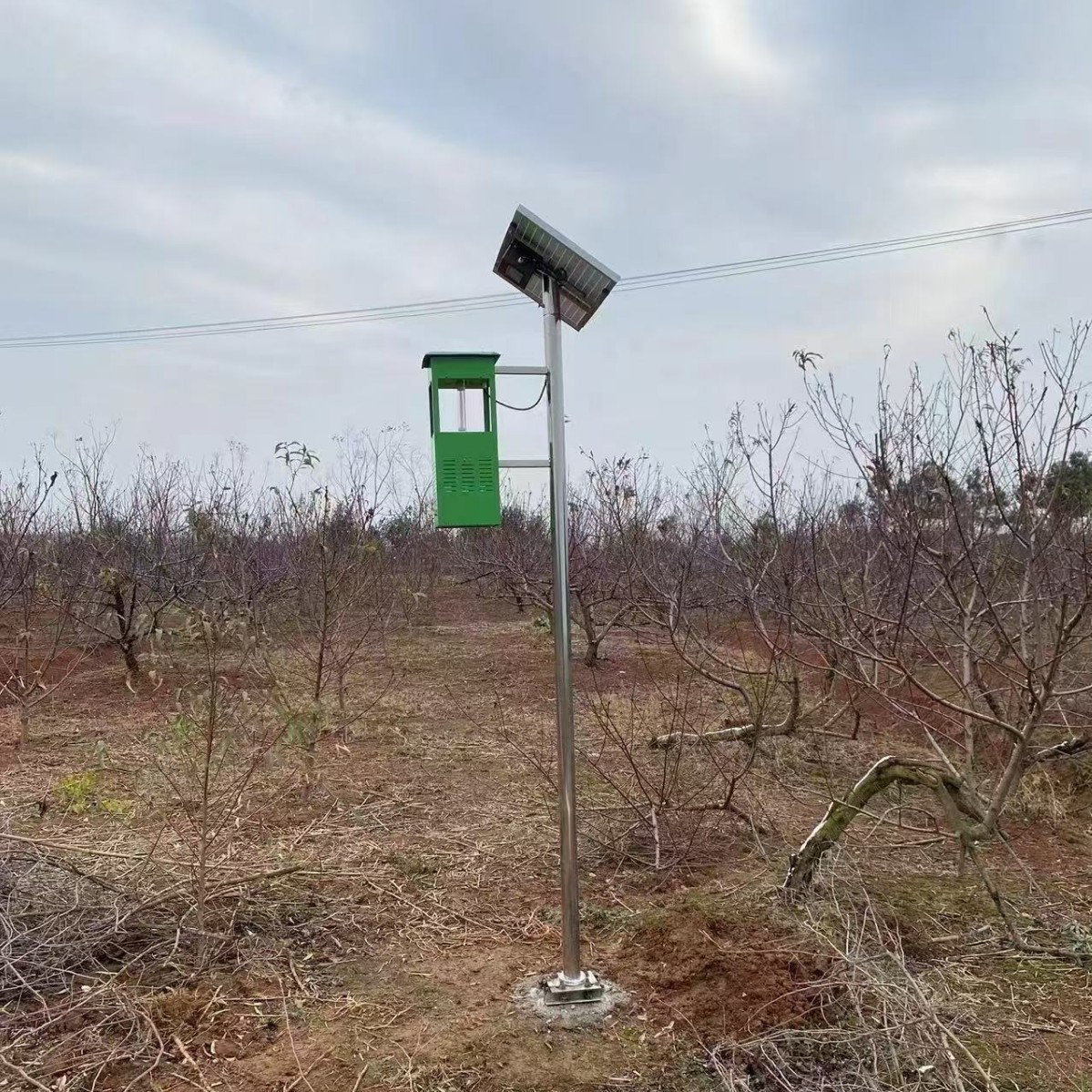 Solar-powered wind-suction insecticidal lamps for agricultural use are available for outdoor mosquito repellent in orchards and power-connected light-controlled mosquito-killing lamps for green belts details Picture