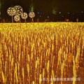 LED illuminated wheat ear lights, lawn lights, courtyard lights, garden landscape lights, barley lights, wheat ear lights, ground insert lights Specification drawing