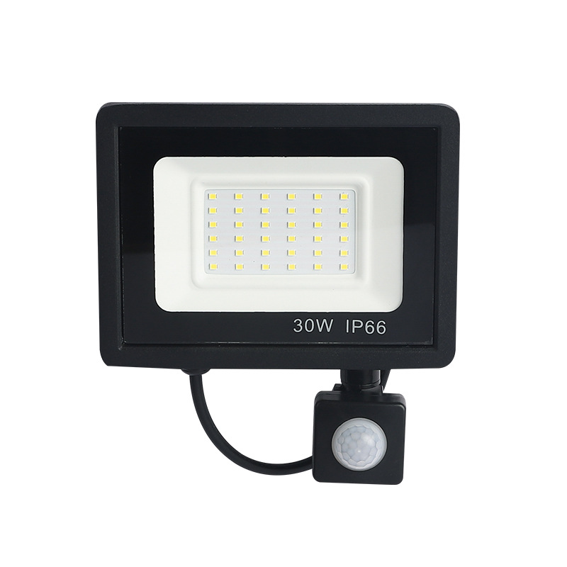 Cross-border led sensor small apple floodlight 50W100W outdoor waterproof remote control dimming sensor PIR floodlight Item Picture
