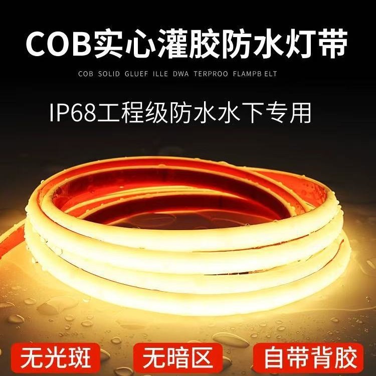 ip68 underwater immersion COB light strip strip led outdoor waterproof 24V flexible linear outdoor water pool super bright full figure