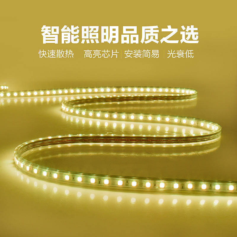 220V high-voltage seven-color LED light strips 5050RGB outdoor waterproof ambient lighting manufacturer wholesale flexible soft light strips details Picture