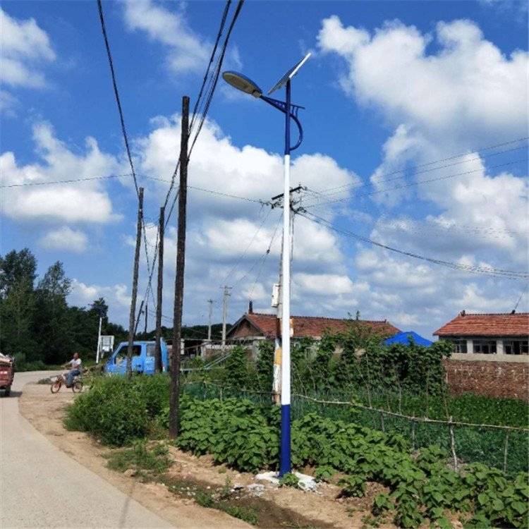 6-meter and 8-meter new rural solar street lamps, road project street lamps, rural lighting LED solar integrated lamps details Picture