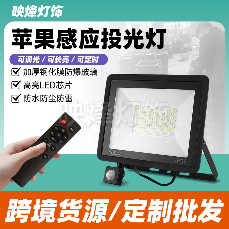 Cross-border led sensor small apple floodlight 50W100W outdoor waterproof remote control dimming sensor PIR floodlight full figure